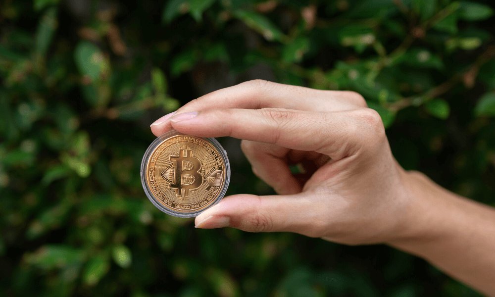 bitcoin decentralised finance